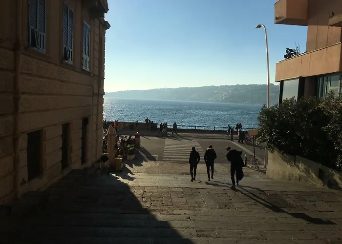 Partenope House Mare *